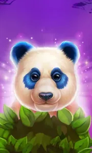 Luck of Panda: Bonus Combo