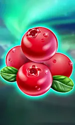 Winterberries