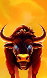 Big Wild Buffalo 2